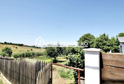Teren Construcții intravilan de 650 mp, în Dâmbu Pietros - 6