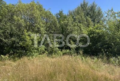 Teren Construcții extravilan de 2000 mp, în Sebeș - 2