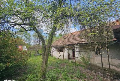 Casă cu 3 camere în Zam