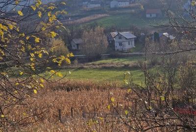 Teren de 1400 mp, în Mociu - 3