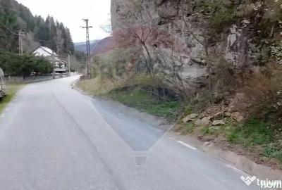 Teren în Rucăr - 7