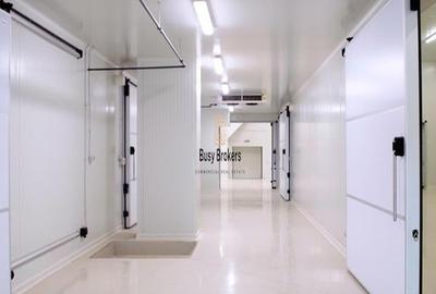 Spațiu industrial, de 1,200 mp, în Nufărul - 4