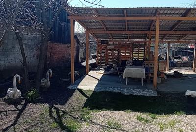 Casă cu Teren 713 Mp în Hăghig - 10