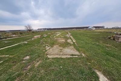 Teren Construcții intravilan de 2700 mp, în Miersig - 9
