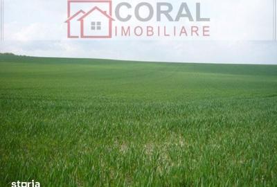 Teren de 5866 mp, în Certeju de Sus