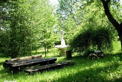 Teren de 14000 mp, în Mihai Viteazu - 2