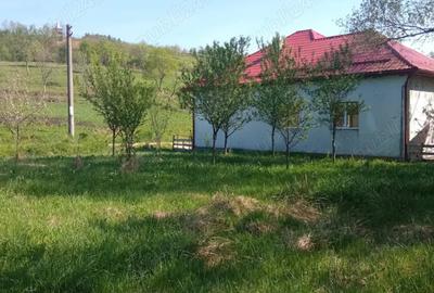 Teren de 1500 mp, în Vorța - 4