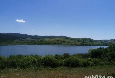 Teren în Săcălaia - 3