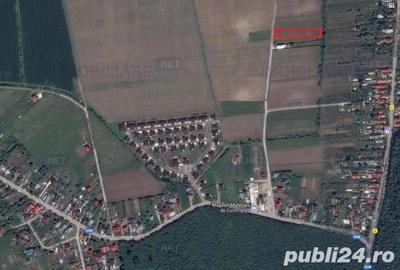 Teren de 3900 mp, în Balotești - 2