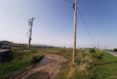Teren Construcții intravilan de 31400 mp, în Exterior Nord - 8
