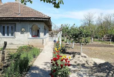 Casă cu 4 camere cu Teren 1350 Mp în Gheorghe Lazăr - 7