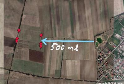 Teren de 32000 mp, în Moșnița Veche - 2