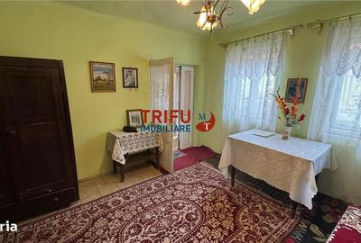 Casă cu 3 camere cu Teren 537 Mp în Ighiu - 4