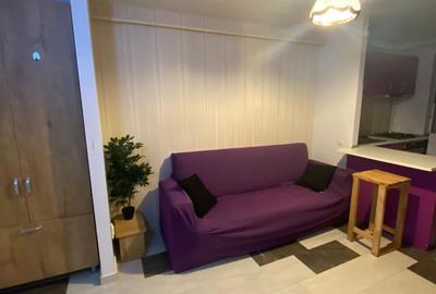 Apartament cu 2 camere semidecomandat, mobilat în Podu Roș - 4