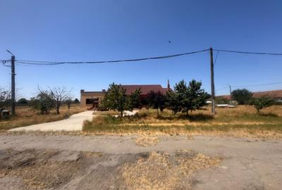 Teren Construcții intravilan de 90000 mp, în Bărăteaz - 9