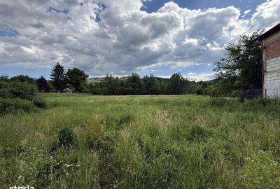 Spațiu comercial, în Provița de Sus - 8