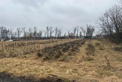 Teren de 1400 mp, în Dumbrăvioara