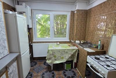 Apartament cu 2 camere în Banat - 5
