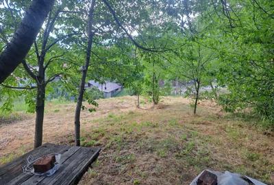 Teren de 3500 mp, în Viforâta - 7