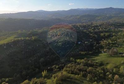 Teren de 15459 mp, în Bughea de Sus - 2