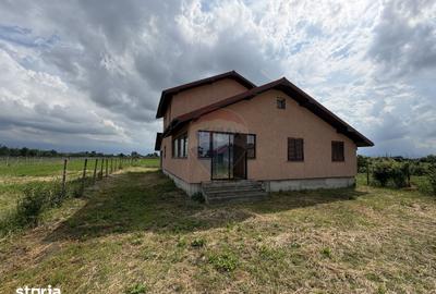 Casă cu 5 camere cu Teren 3960 Mp în Milcovul - 19