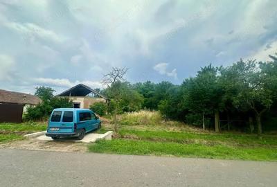 Teren de 6100 mp, în Șimian - 1