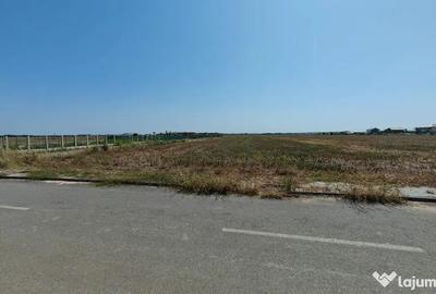 Teren în Dragomirești-Vale