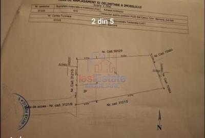 Spațiu comercial, în Todirel - 4
