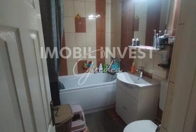 Apartament cu 2 camere, mobilat în Ampoi 2