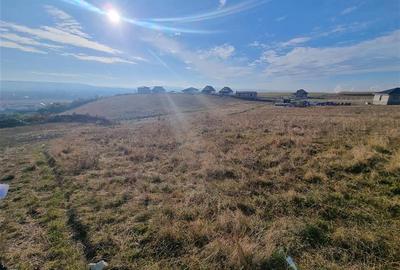 Teren intravilan de 1300 mp, în Sâncraiu de Mureș - 1