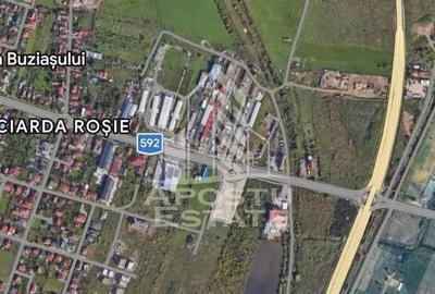 Teren în Buziașului