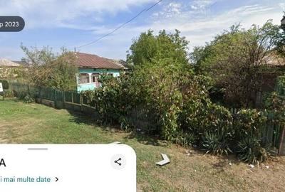 Teren de 3500 mp, în Mogoșani - 4