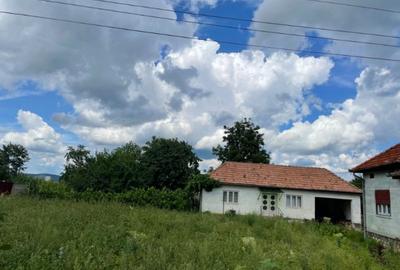 Casă individuală cu 4 camere cu Teren 1115 Mp în Totești - 7