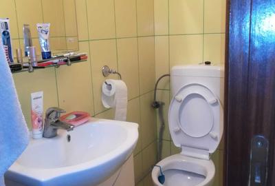 Apartament cu 3 camere decomandat în Dristor - 12