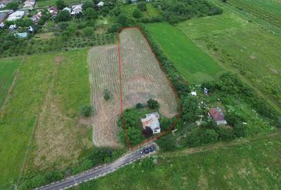 Teren Construcții intravilan de 4229 mp, în Blidari (Cârligele) - 1