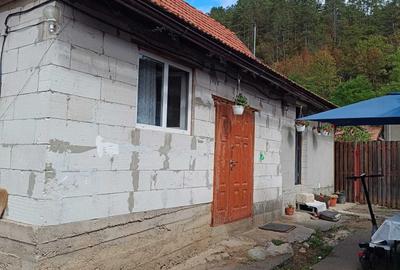Casă cu 4 camere în Căpușu Mare