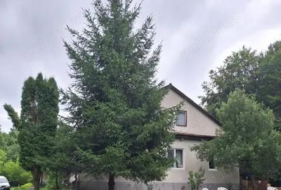 Casă cu 2 camere în Central