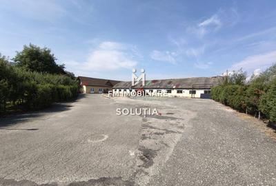 Spațiu industrial, de 3,500 mp, în Exterior Vest - 7