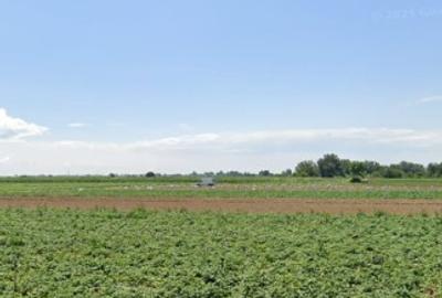 Teren agricol extravilan de 5100 mp, în Lungulețu - 2
