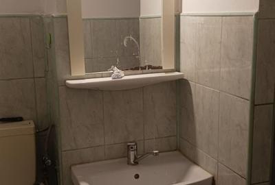 Apartament cu 2 camere decomandat în Șagului - 12
