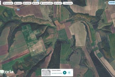 Teren de 32600 mp, în Deleni - 8