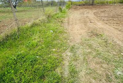 Teren de 100 mp, în Vișan - 5