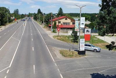 Teren de 3000 mp, în Ciolpani - 7