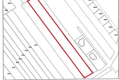 Teren Construcții intravilan de 5000 mp, în Ciolpani - 8