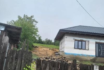 Casă individuală cu 4 camere cu Teren 27000 Mp în Epureni (Duda-Epureni) - 1