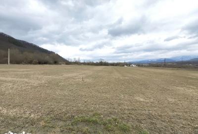 Teren de 2800 mp, în Turnu Roșu - 8