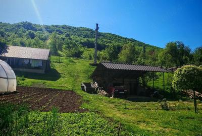 Casă cu Teren 3000 Mp în Ponoarele