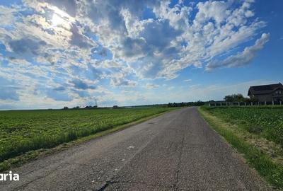 Teren de 14900 mp, în Bogdănești