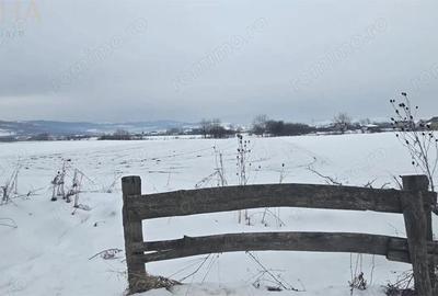 Teren de 1918 mp, în Jelna - 4