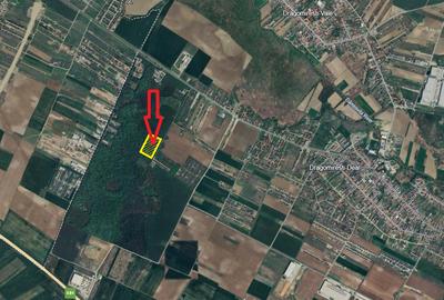 Teren agricol intravilan de 23568 mp, în Dragomirești-Deal - 1